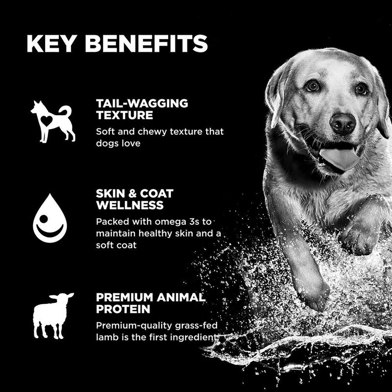 Go! Solutions,Benefit Chews - Skin + Coat Care Lamb Dog Treats - 170 g image number null
