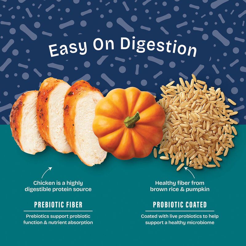 Natural Balance, Health Protection Small Breed - Real Chicken, Brown Rice & Pumpkin Recipe - Dry Dog image number null