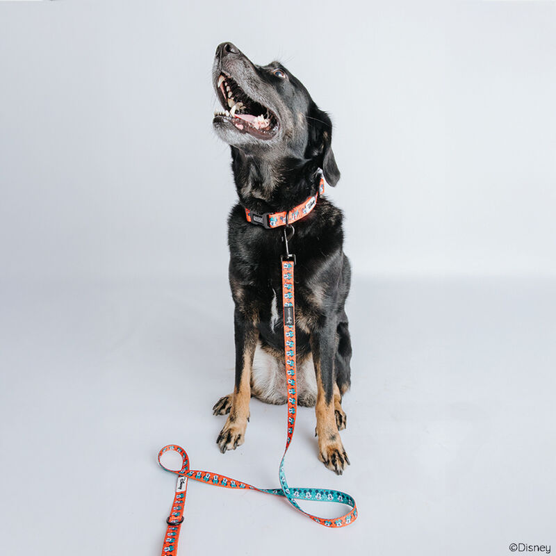 Sassy Woof, Disney Holiday Walkie Pack image number null