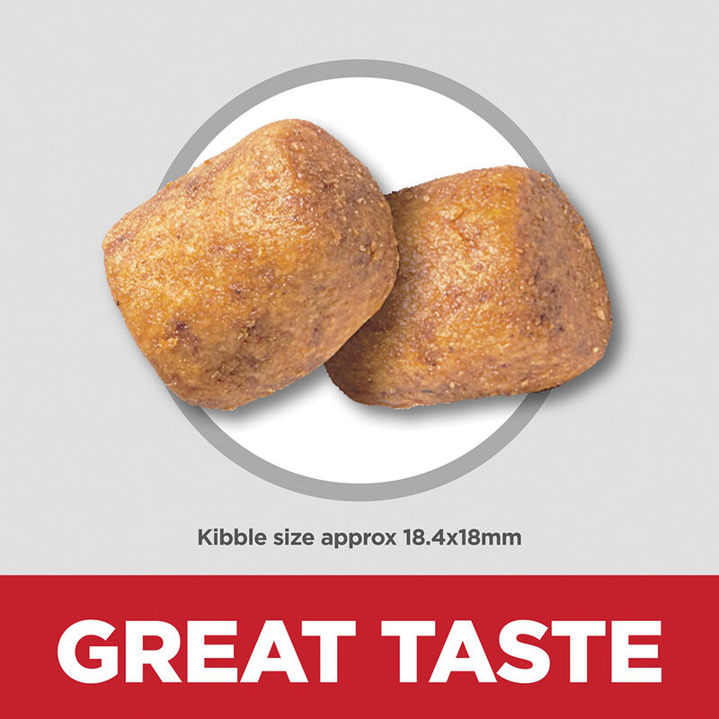 Science Diet, Adult - Small & Mini Breed, Oral Care - Dry Dog Food image number null