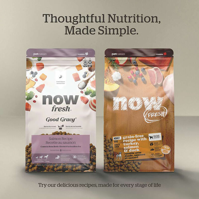 NOW FRESH, Adult GF Fish - 9.98 kg - Dry Dog Food image number null