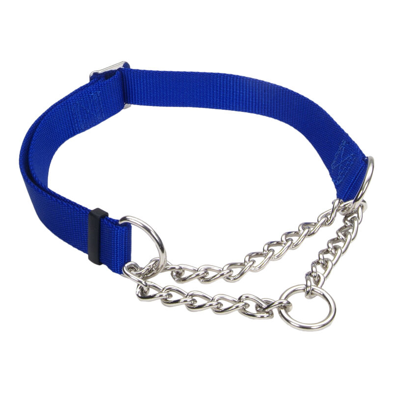 Adjustable Training Collar for Dogs, Blue, Small - 5/8" x 10"-14" image number null