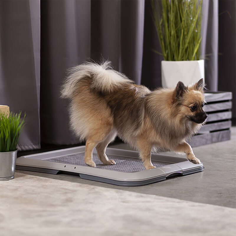 O'select Carbon Training Pads Puppy and Small Dog image number null