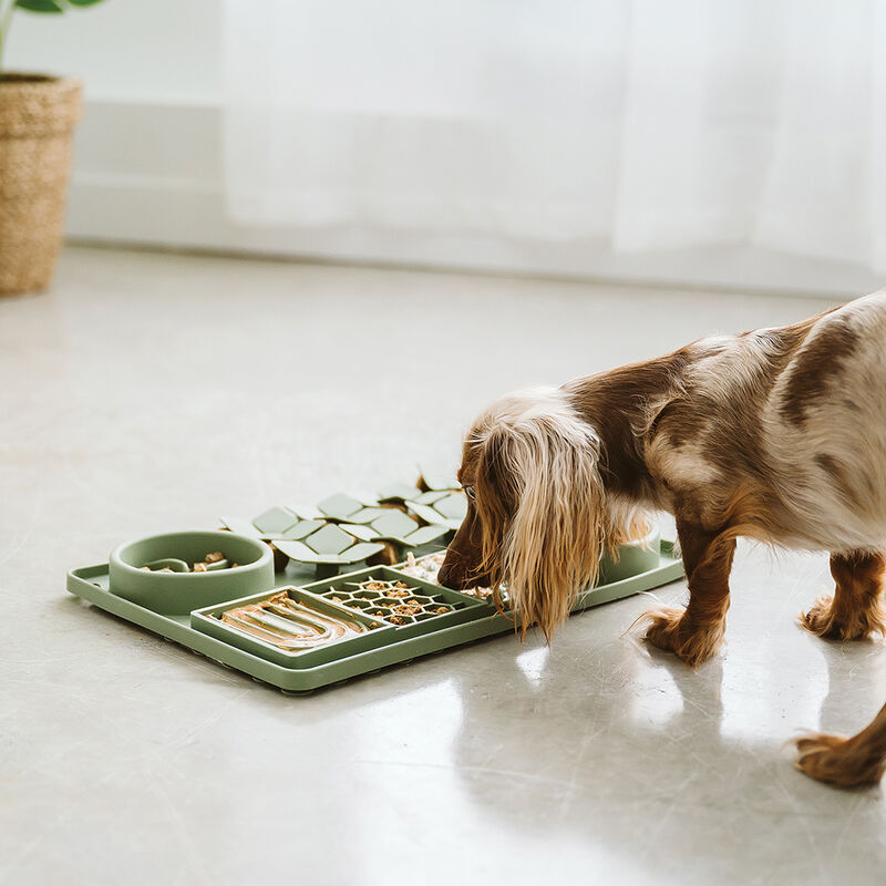 BeOneBreed, Multi Textured Slow Feeder - Green image number null