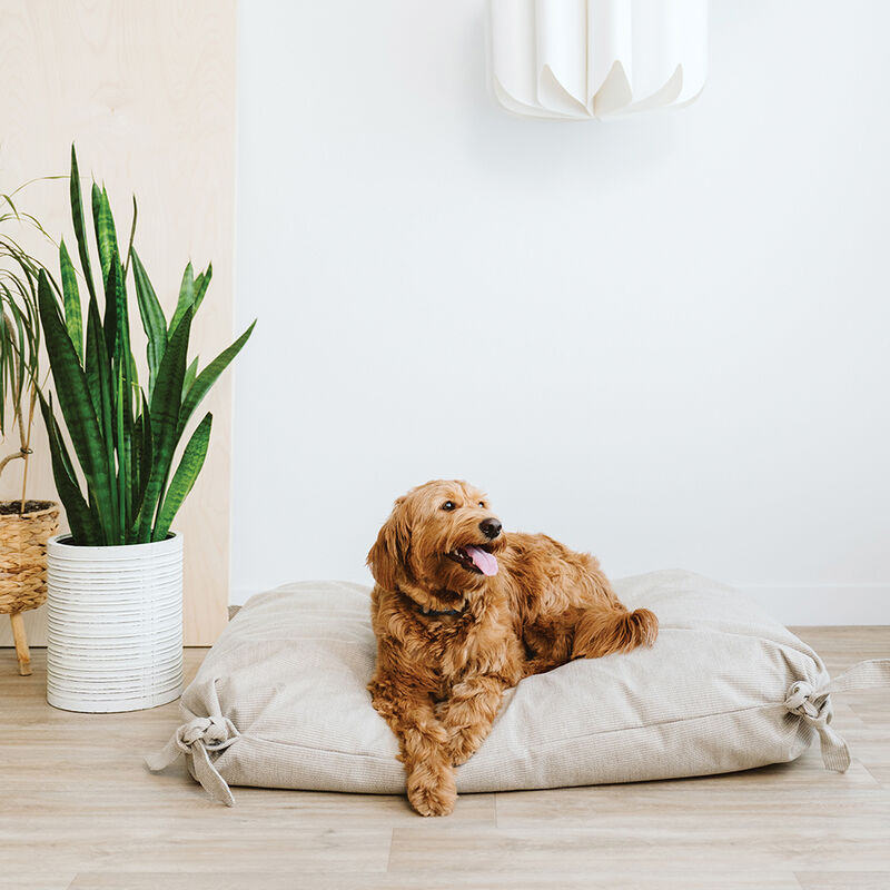 BeOneBreed, Cloud Pillow Knotted Bed - Beige Knit image number null