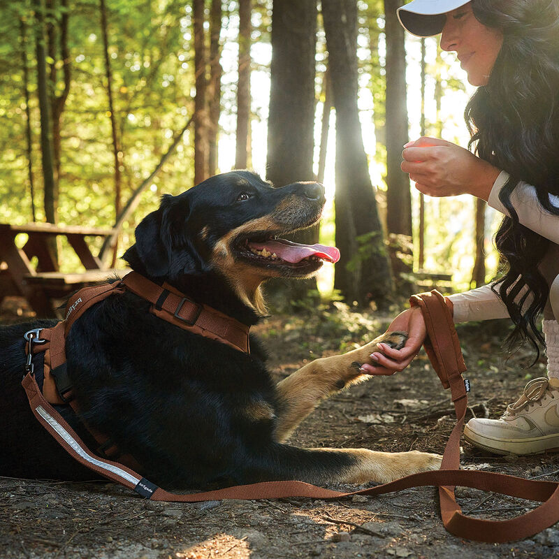 Brigade, Cloud Leash - Cognac image number null