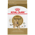 Royal Canin, Feline Breed Health Nutrition  Bengal - Dry Cat Food image number null