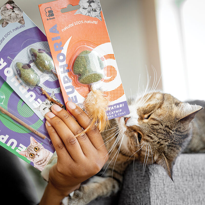BeOneBreed, Euphoria Toy - Lucky - Chase Cat Toy image number null