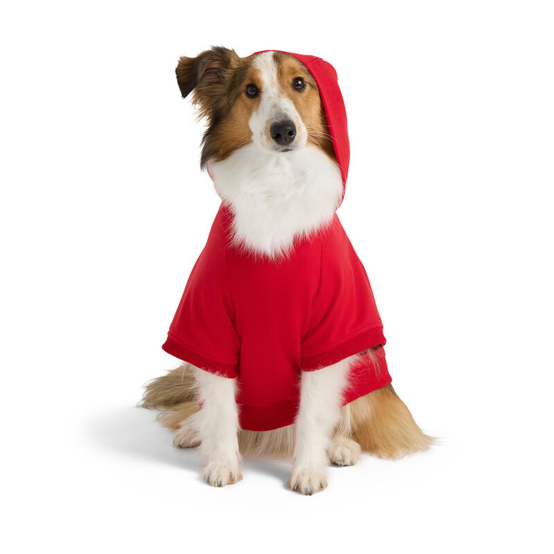 Nautica Hoodie - Red  image number null