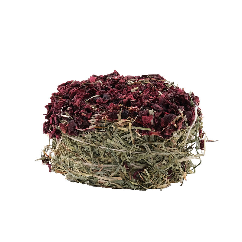 Living World Green, Hay/Biscuits Beet image number null
