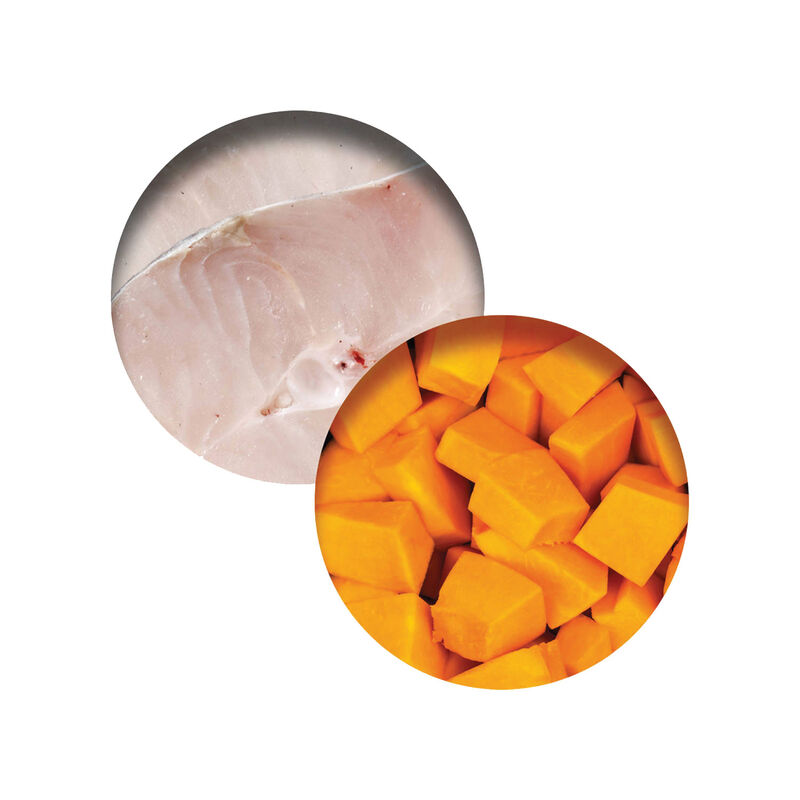 Catit, Grain Free - Fish Dinner with Layer of Whitefish & Pumpkin in Gravy - Wet Cat Food image number null