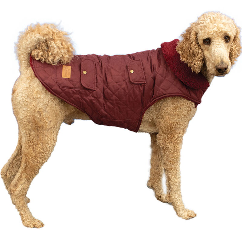 Canada Paws, Quilted Barn Coat - Burgundy - Dog Coat image number null