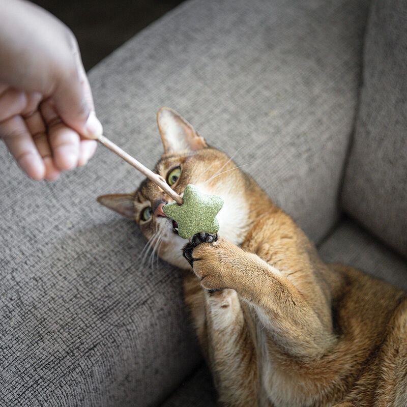 BeOneBreed, Euphoria Toy - Magic Stick - Chase Cat Toy image number null