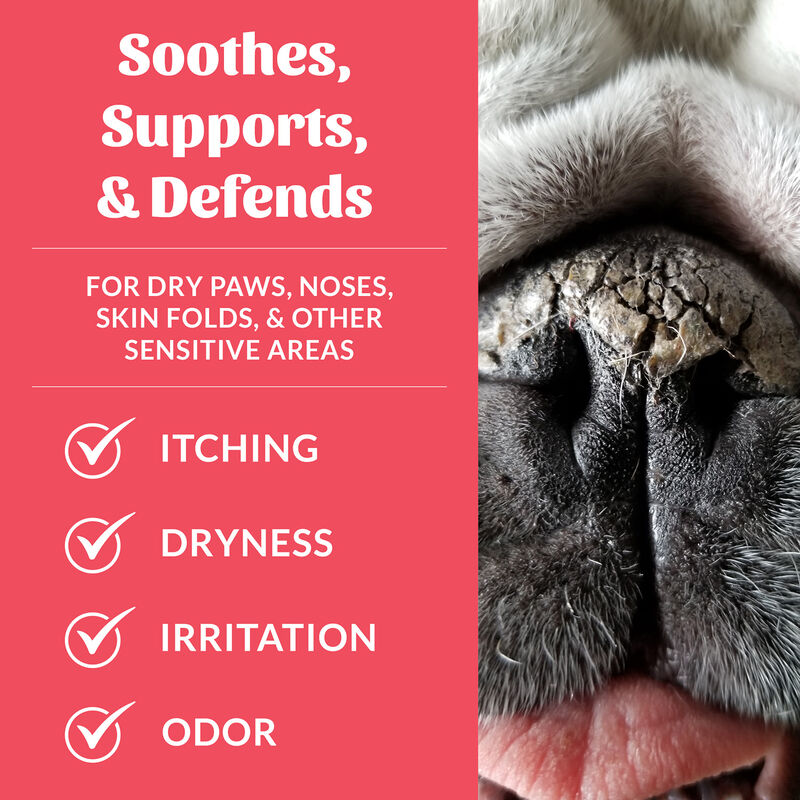 Skouts Honor, Probiotic Paw & Nose Balm - 59 ml image number null