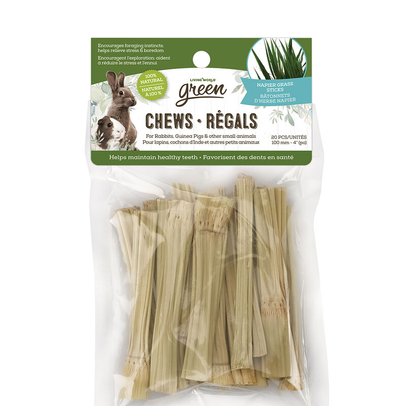 Living World Green, Small Animal Chews - Napier Grass Sticks - 20 pk image number null