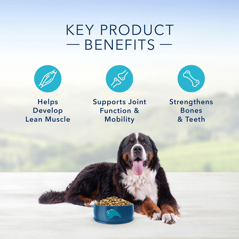 Blue Buffalo, Adult - Life Protection - Beef - Dry Dog Food image number null