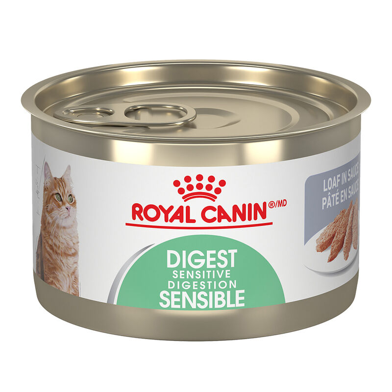 Royal Canin, Can, Feline Adult - Digest Sensitive Loaf in Sauce - 145 g - Wet Cat Food image number null