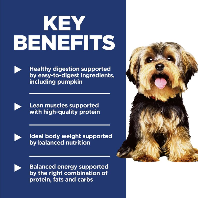 Science Diet, Adult Small & Mini Chicken Meal & Rice Recipe - Dry Dog Food image number null