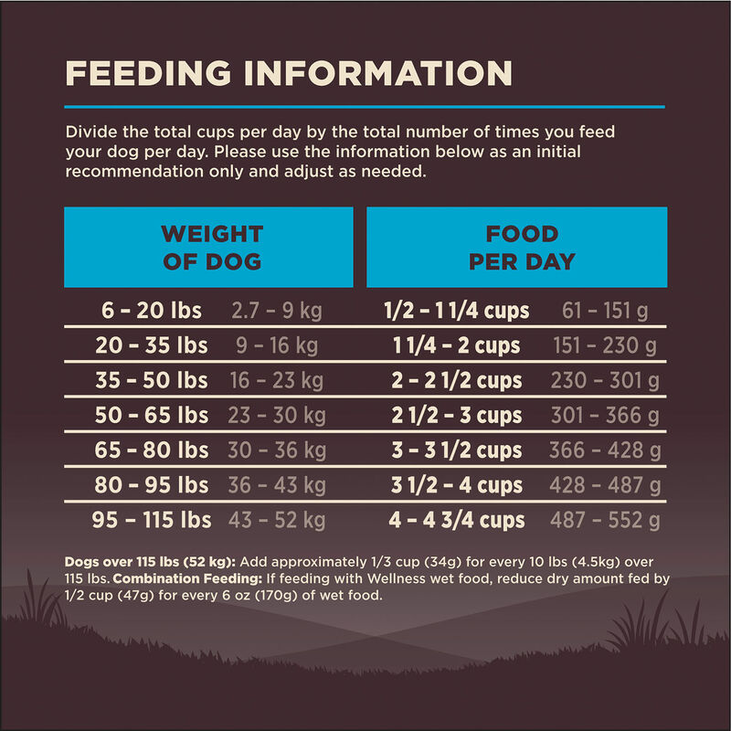 Wellness, Core, Grain Free Ocean - Dry Dog Food image number null