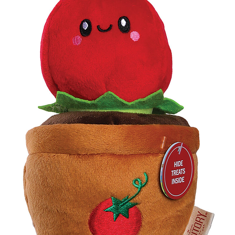 Territory, Tomato Treat & Tug Toy image number null