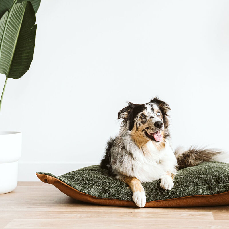 Reversible Faux Leather Cloud Pillow - Green - Med image number null