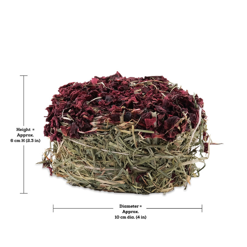Living World Green, Hay/Biscuits Beet image number null