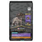 Pro Plan, Puppy, Sport Development 30/20 - Chicken&Rice - 10.9 kg - Dry Dog Food image number null