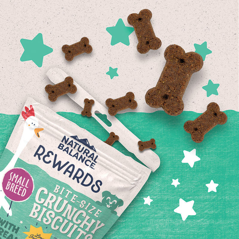Natural Balance, Limited Ingredient Dog Treats Small Breed, Potato & Chicken - 227 g - Dog Biscuit image number null