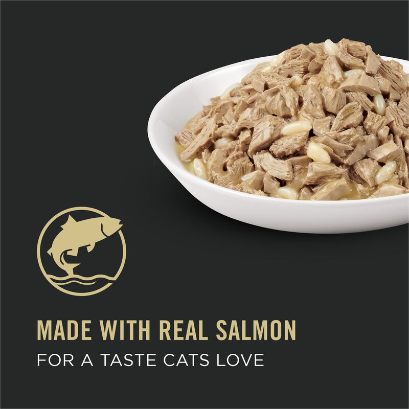 Pro Plan Wet Cat Complete Essentials Salmon & Rice Entr&eacute;e 85g image number null