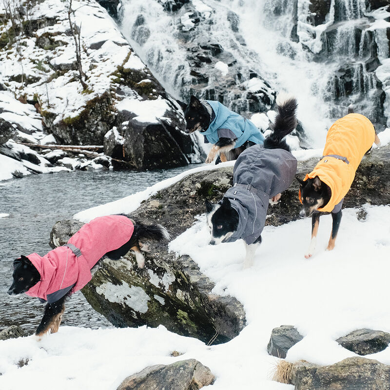 Hurtta, Expedition Parka - Bilberry image number null