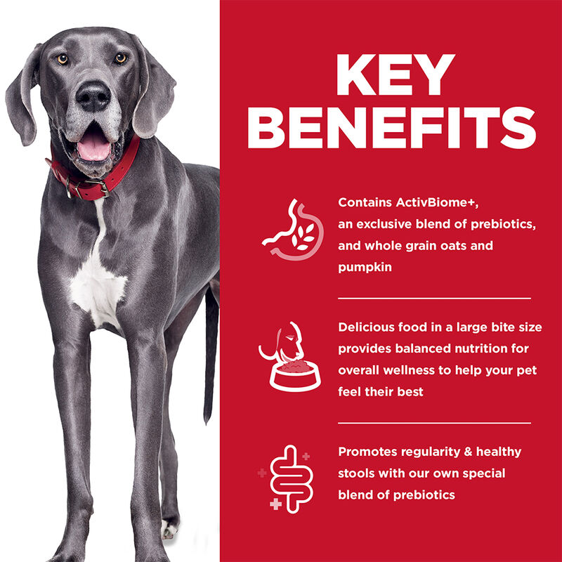 Science Diet, Adult LB - Perfect Digestion - Chicken - 9.98 kg - Dry Dog Food image number null