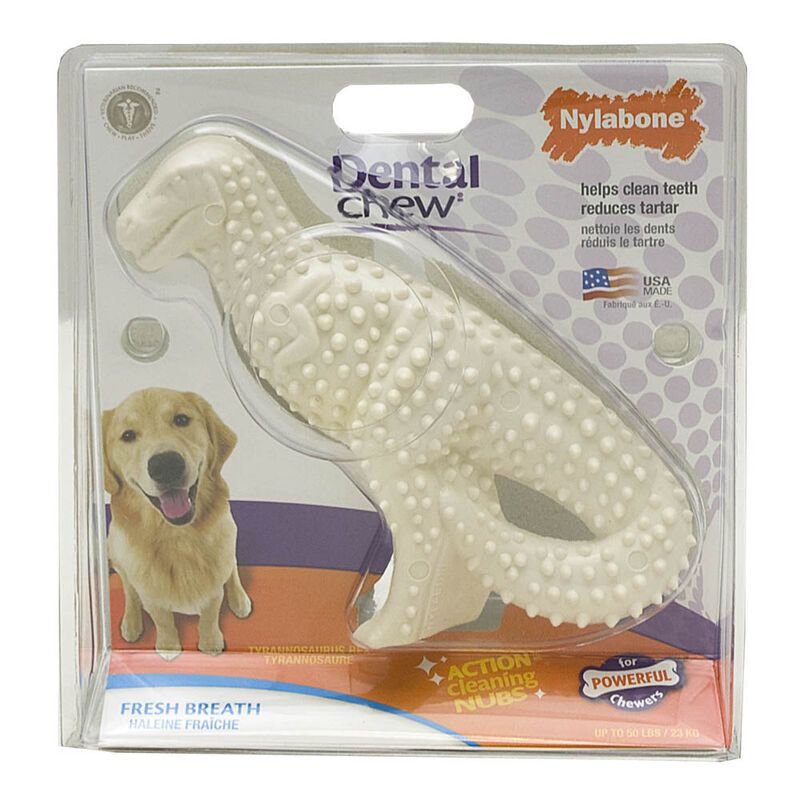 Nylabone, Dental Chew, Dinosaur - Regular image number null