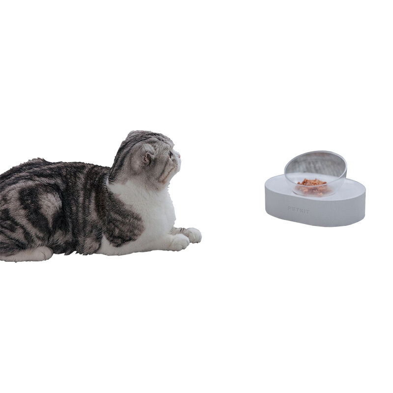 Petkit, Nano Bowl - White - Single image number null