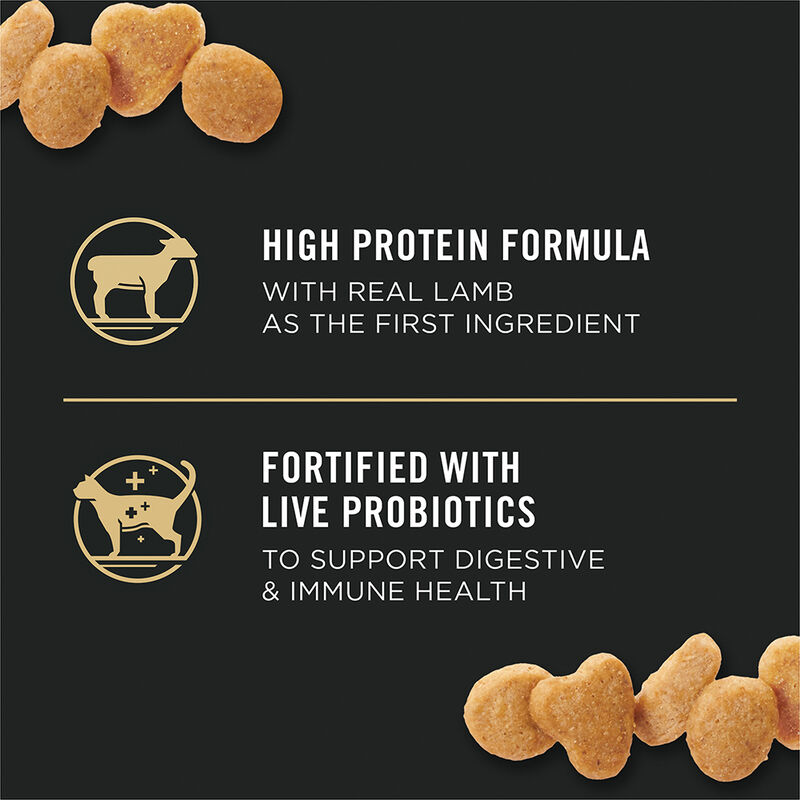 Purina Pro Plan Specialized Sensitive Skin & Stomach Adult, Lamb & Rice Dry Cat Food Formula 3.18kg image number null