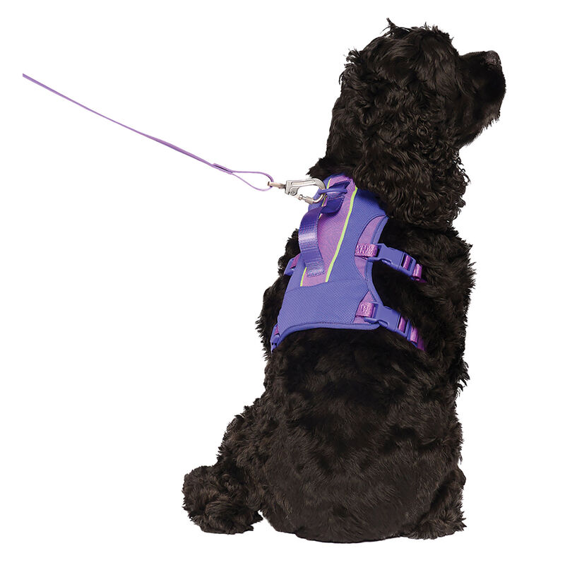 Canada Pooch, Max Chill Cooling Harness Purple image number null