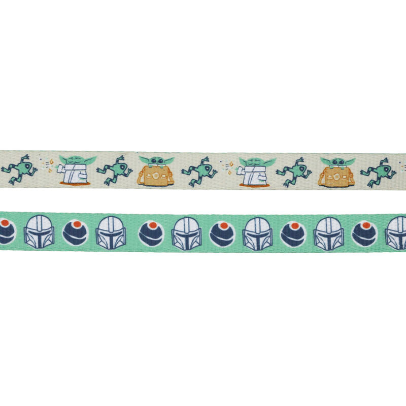 Sassy Woof, Star Wars Collar and Leash Set for Dogs - Small image number null