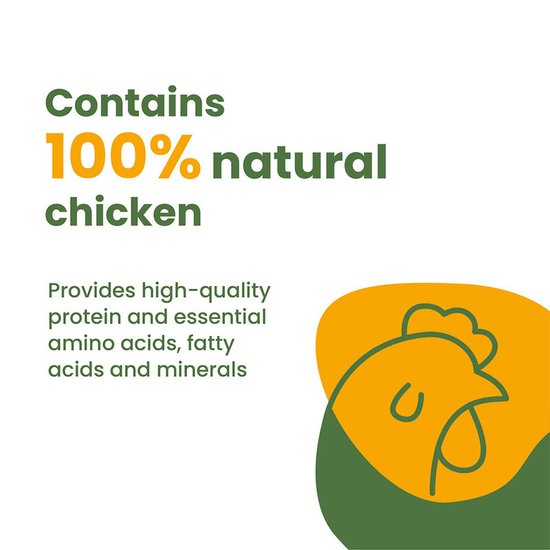 Almo Nature, Can Feline Adult - Chicken & Pumpkin in Broth - 2.5 oz - Wet Cat Food image number null