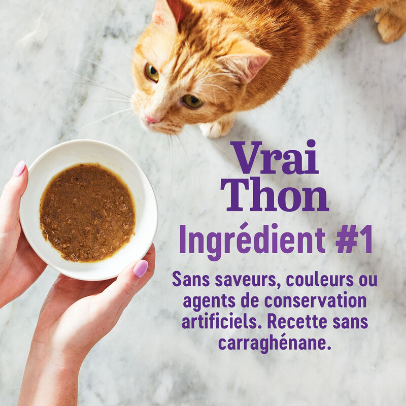 Wellness, Appetizing Entr&eacute;e - Flaked Tuna, Mackerel & Shrimp in Broth - Wet Cat Food image number null