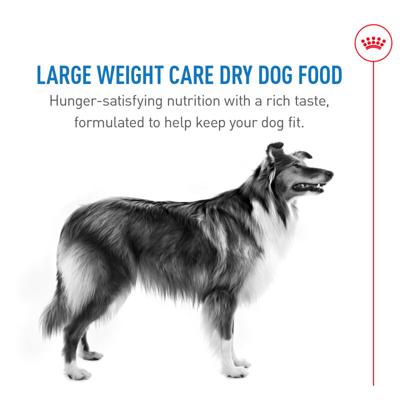 Royal Canin, Size Health Nutrition Large Weight Care - Dry Dog Food image number null