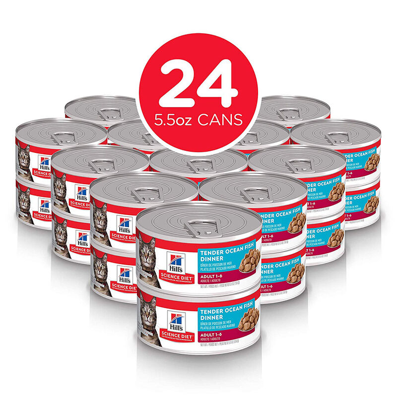 Science Diet, Can, Feline Adult - Ocean Fish - 156 g - Wet Cat Food image number null