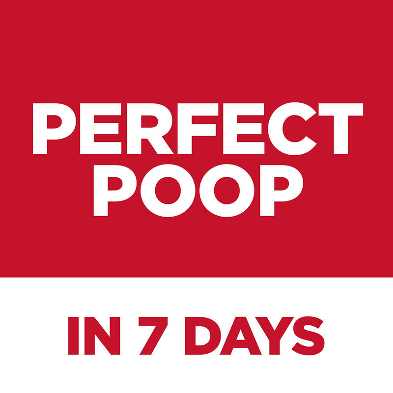 Science Diet, Feline Adult - Perfect Digestion Salmon - Dry Cat Food image number null