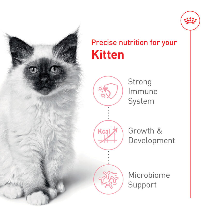 Royal Canin, Feline Health Nutrition Kitten Dry Cat Food - Dry Cat Food image number null