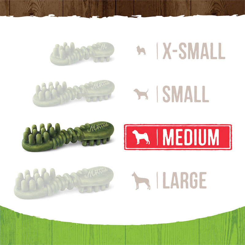 Merrick, Fresh Kisses Brush - Coconut - Dog Treat image number null