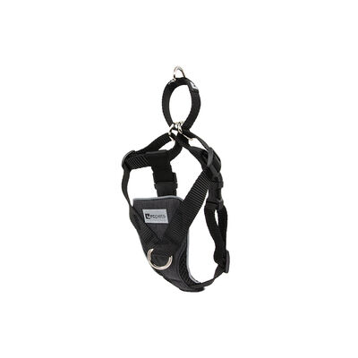 RC Pets, Harness - Tempo No Pull - Heather Black - Dog Harness