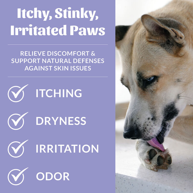 Skouts Honor, Probiotic Paw Spray - 236 ml image number null