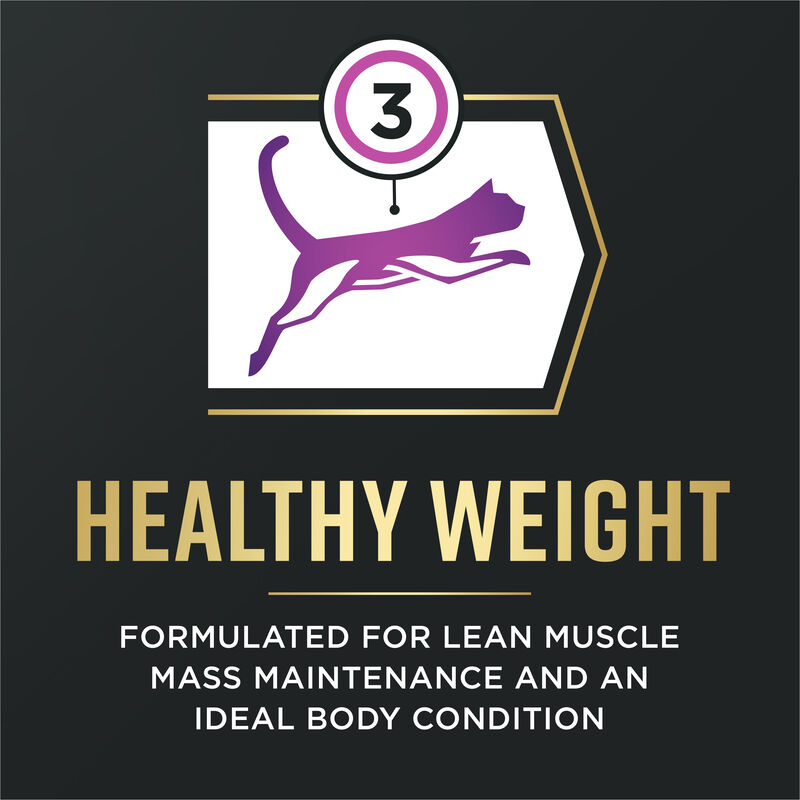 Pro Plan, AdvantEDGE - Senior Support Chicken & Rice - Dry Cat Food image number null