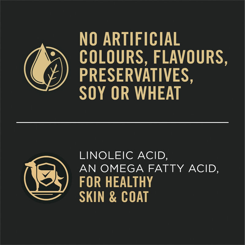 Pro Plan, Adult Sensitive Skin & Stomach - Salomn & Rice - 385 g - Wet Dog Food image number null