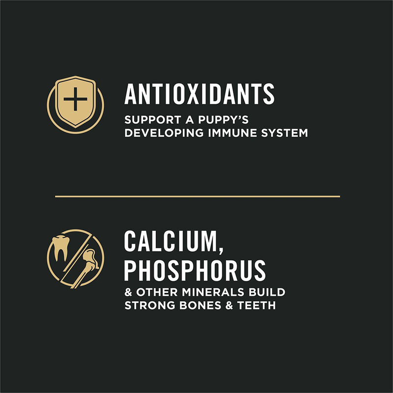 Purina Pro Plan Development Under One Year Puppy, Chicken & Rice Dry Dog Food Formula image number null