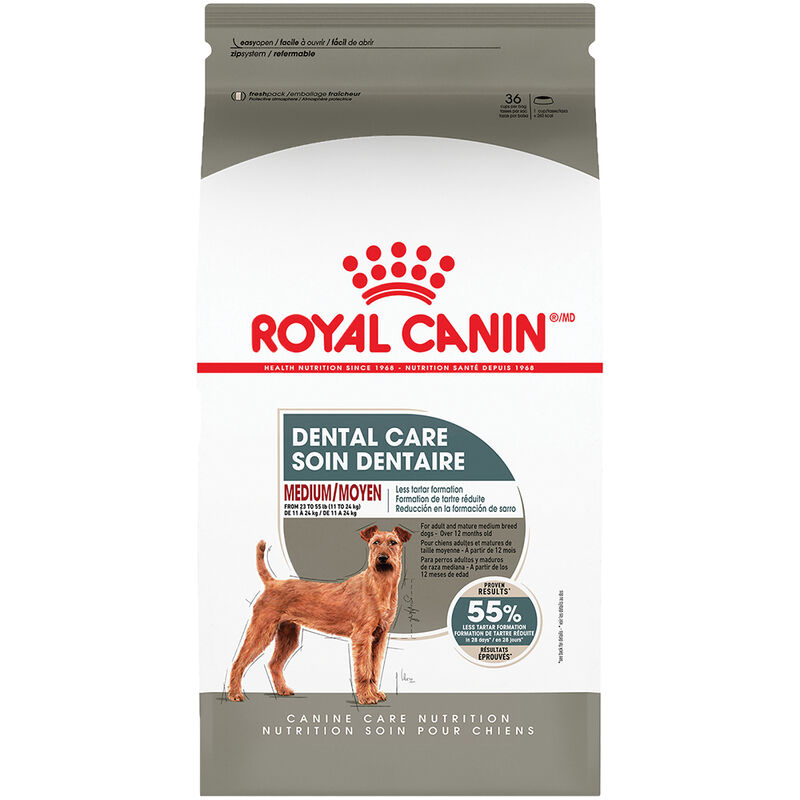 Royal Canin, Canine Care Nutrition Dental Care Adult Medium - Dry Dog Food image number null