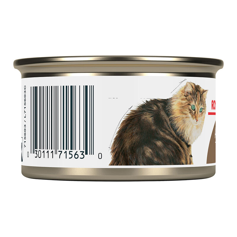 Royal Canin, Feline Health Nutrition Aging 12+ Thin Slices In Gravy - Wet Cat Food image number null